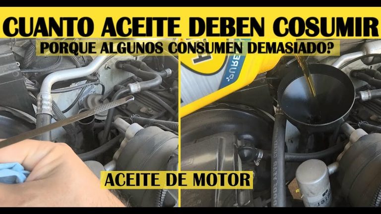 Cuantos Litros De Aceite Lleva Una Camioneta Voyager mundodelmotor.es